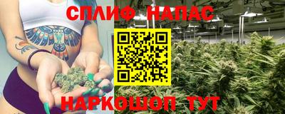 сатива Дубна