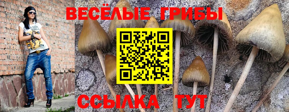 Псилоцибиновые грибы Psilocybine cubensis  где купить наркотик  Куйбышев  Галлюциногенные грибы Psilocybe  Вход с VPN 